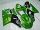 2000-2001 Green Yamaha YZF R1 Motorcyle Fairings 2000-2001 Green Yamaha YZF R1 Motorcyle Fairings